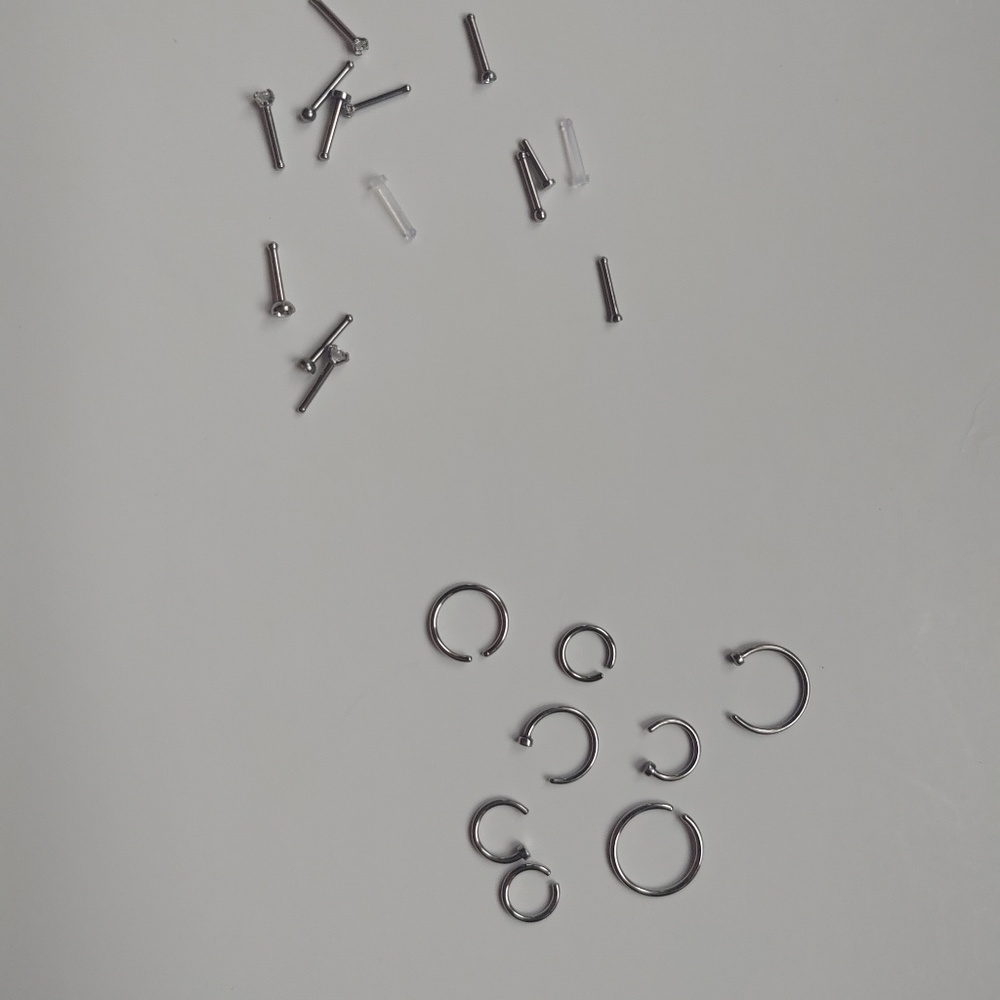 Brand New Nose Rings